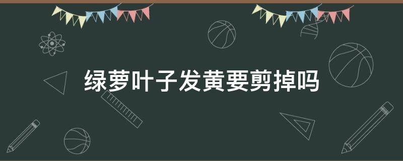 绿萝叶子发黄要剪掉吗（绿萝叶子发黄需要剪掉吗）