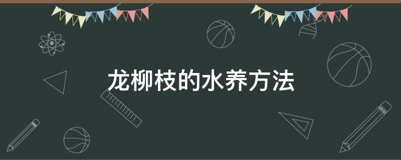 龙柳枝的水养方法 龙柳枝的水养去叶子吗