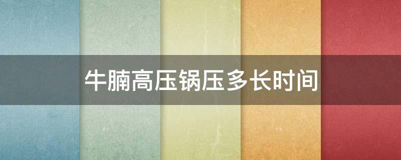 牛腩高压锅压多长时间 牛腩高压锅压多长时间才软烂