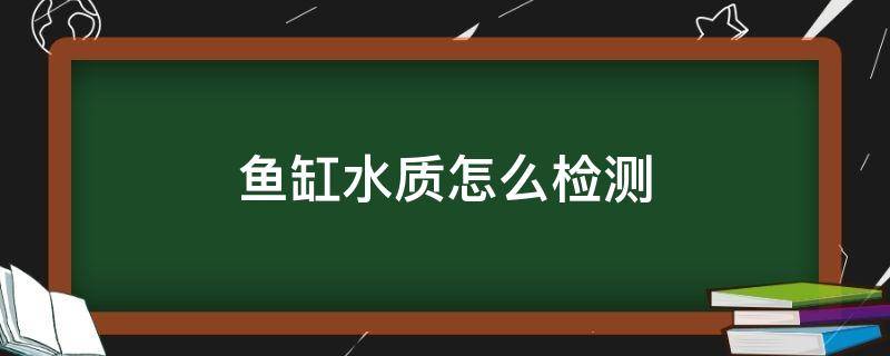 鱼缸水质怎么检测（鱼缸水质怎么检测gh）