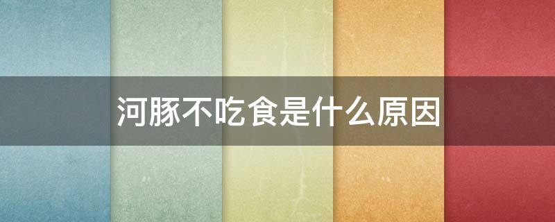 河豚不吃食是什么原因 为什么河豚不吃东西