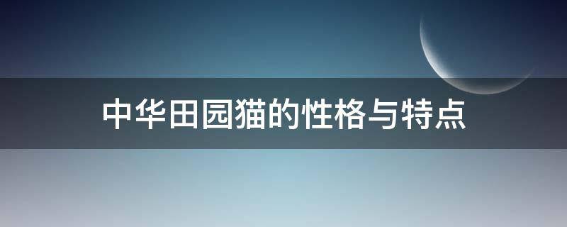 中华田园猫的性格与特点（中华田园猫不同花色的性格）