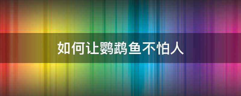 如何让鹦鹉鱼不怕人（怎么让鹦鹉不怕人?）