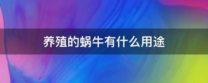 养殖的蜗牛有什么用途（人工养殖的蜗牛有什么作用）