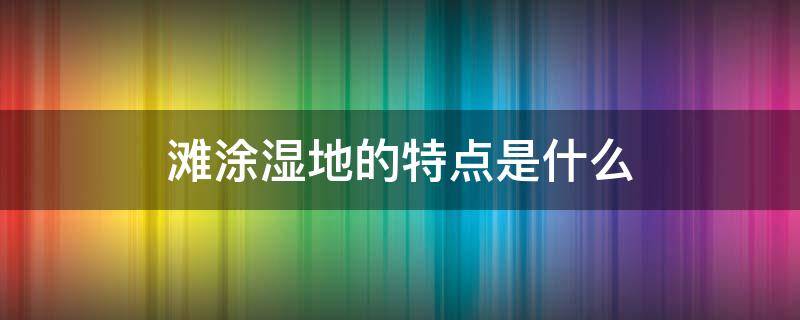 滩涂湿地的特点是什么 滩涂属于湿地