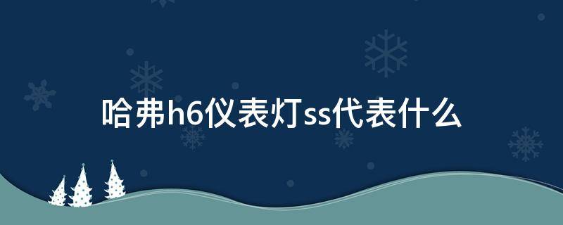 哈弗h6仪表灯ss代表什么 哈弗h6仪表灯ss什么意思