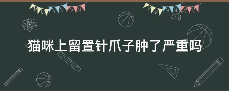 猫咪上留置针爪子肿了严重吗 猫打保留针爪子肿了