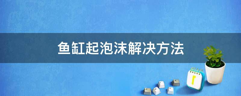 鱼缸起泡沫解决方法 鱼缸水面起泡沫解决方法