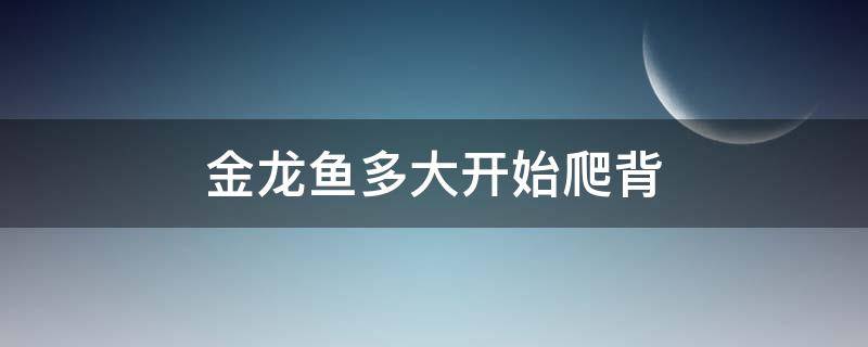 金龙鱼多大开始爬背 过背金龙鱼多大就停止爬背了