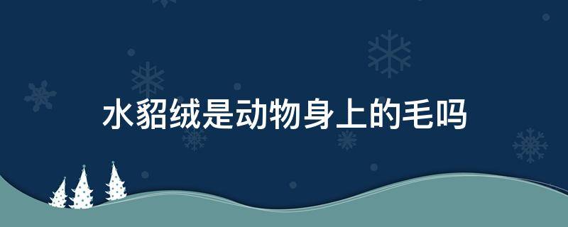 水貂绒是动物身上的毛吗 貂绒是什么动物的毛