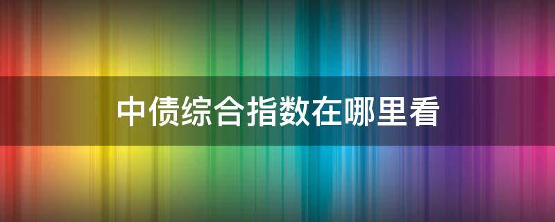 中债综合指数在哪里看（中债综合指数在哪里看300148）