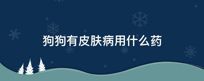 狗狗有皮肤病用什么药（狗狗有皮肤病用什么药好）