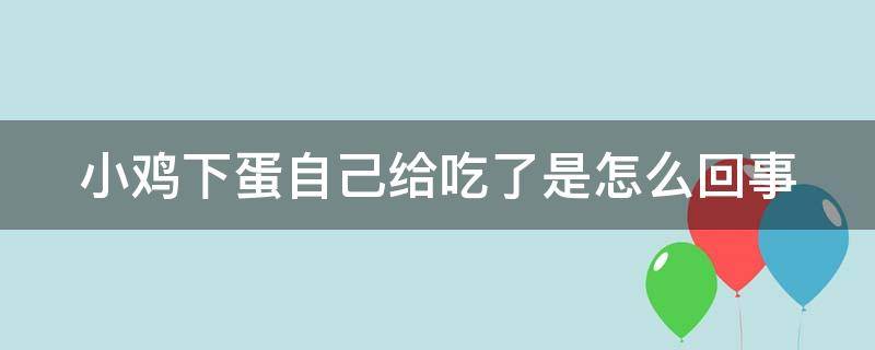 小鸡下蛋自己给吃了是怎么回事 小鸡下蛋自己就吃了是缺什么营养吗