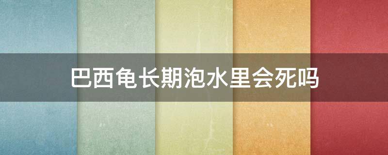 巴西龟长期泡水里会死吗（巴西龟长期不在水里会不会死）