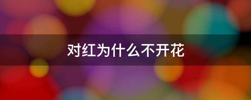 对红为什么不开花 对红为什么不开花光长叶