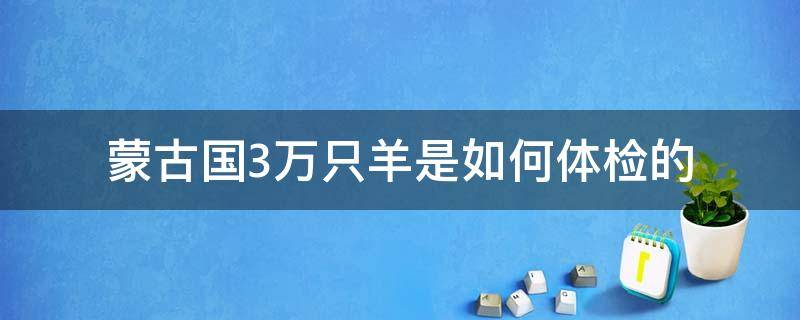 蒙古国3万只羊是如何体检的 蒙古国的三万只羊到了吗