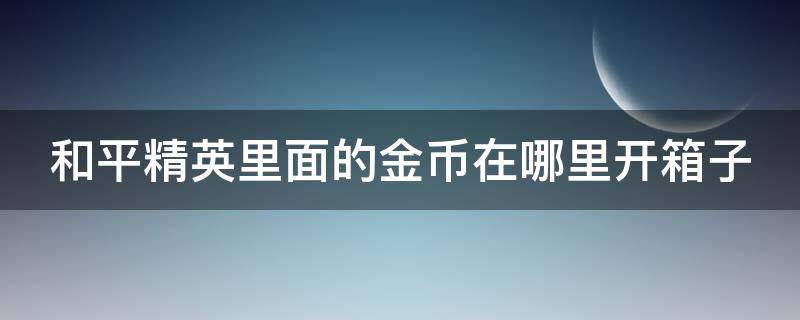 和平精英里面的金币在哪里开箱子 和平精英金币开箱子在哪里2021