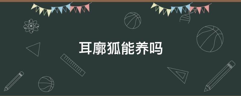 耳廓狐能养吗（养耳廓狐需要办什么）