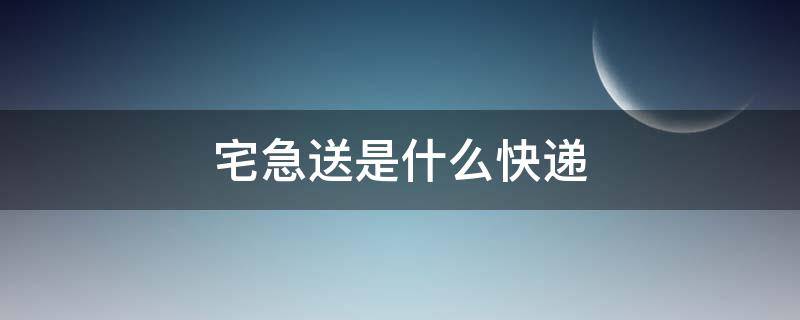 宅急送是什么快递（宅急送是什么快递、从发单己七天不见货,为什么?）