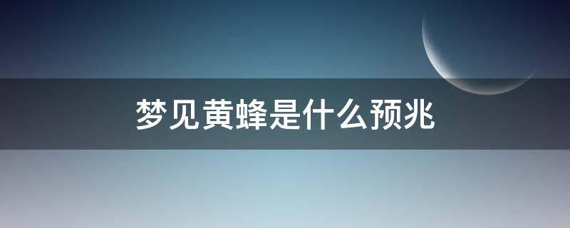 梦见黄蜂是什么预兆 梦见很多黄蜂是什么预兆