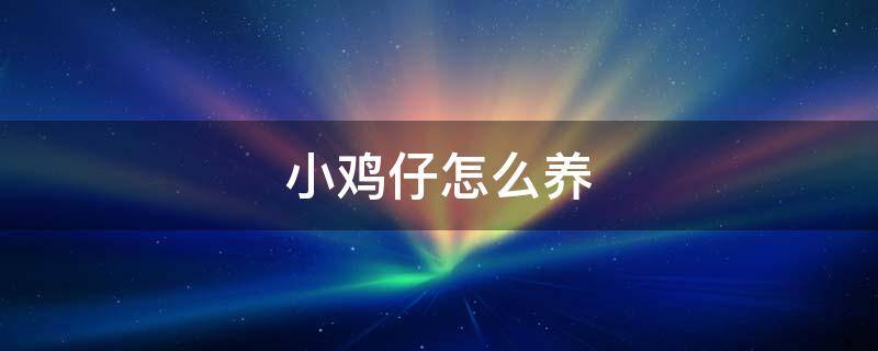 小鸡仔怎么养（市场买的小鸡仔怎么养）