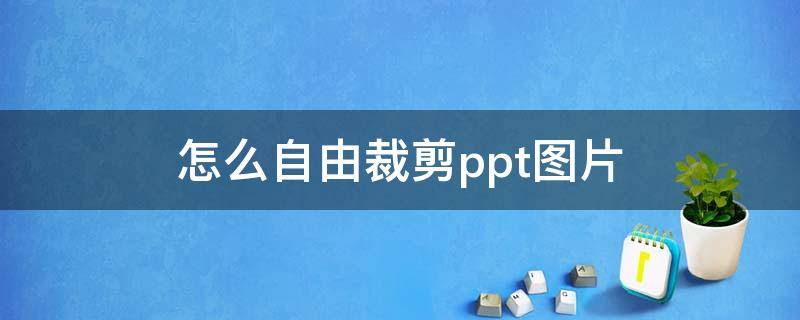 怎么自由裁剪ppt图片 ppt图片自定义裁剪