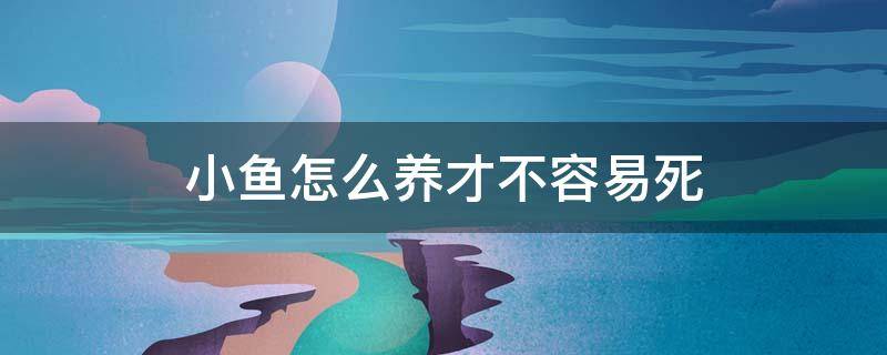 小鱼怎么养才不容易死 什么小鱼好养不容易死