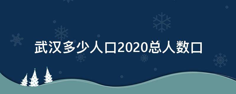 武汉多少人口2020总人数口 武汉有多少人口2020总人数