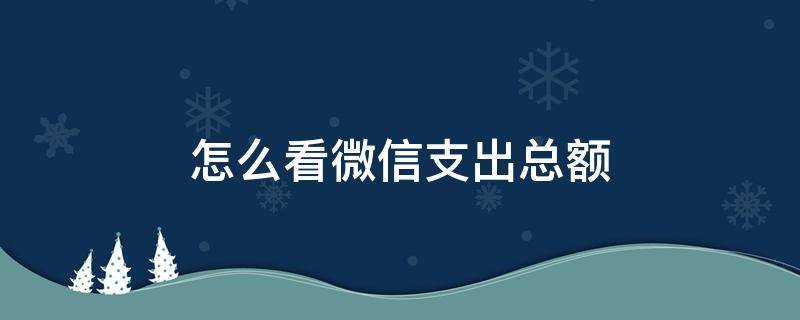 怎么看微信支出总额（怎么看微信今年总支出）