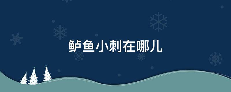 鲈鱼小刺在哪儿（鲈鱼的小刺在哪个部位?）