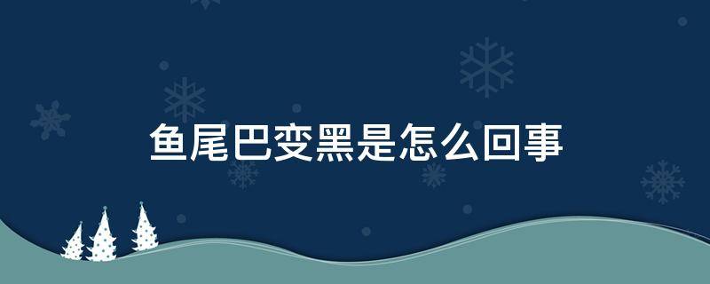 鱼尾巴变黑是怎么回事 鱼尾巴变黑是会怎么样