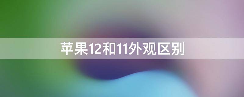 苹果12和11外观区别 苹果11与12外观区别