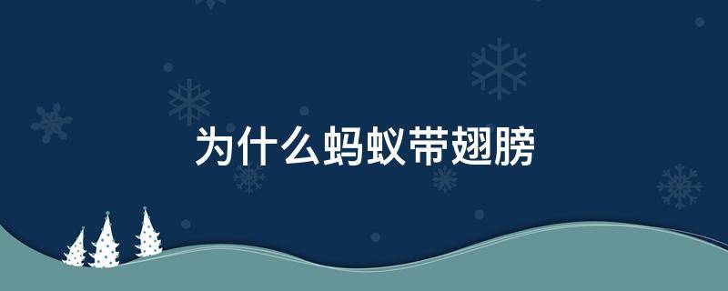 为什么蚂蚁带翅膀（蚂蚁有带翅膀的吗）