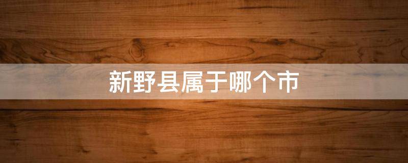 新野县属于哪个市 古代新野县属于哪个市