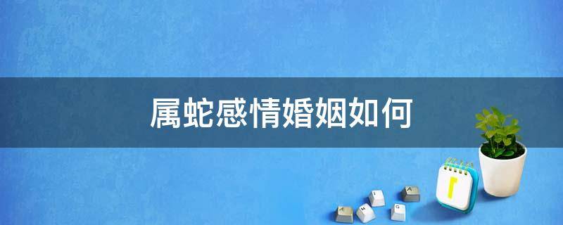 属蛇感情婚姻如何 属蛇感情婚姻如何2022