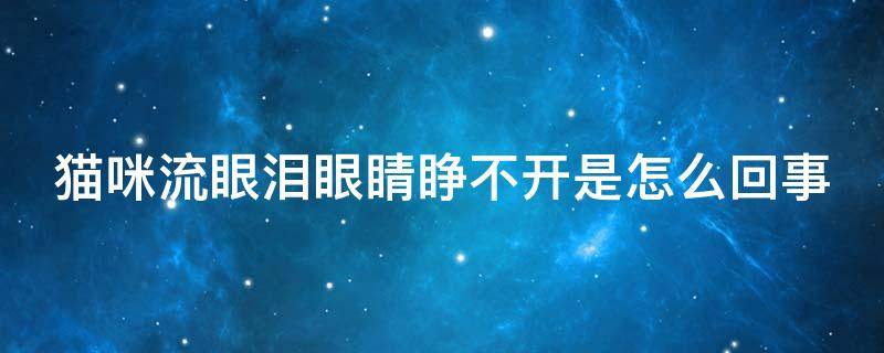 猫咪流眼泪眼睛睁不开是怎么回事 猫咪流眼泪眼睛睁不开是怎么回事呢