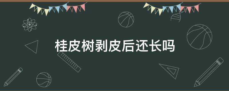 桂皮树剥皮后还长吗 桂皮树被剥皮了还能活吗,皮还能长出来吗