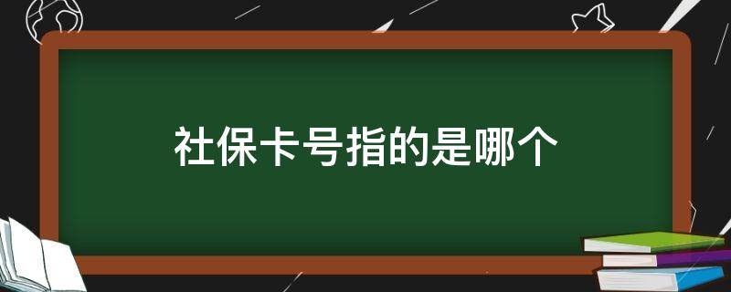 社保卡号指的是哪个（社保卡号指的是哪个有几位数字）