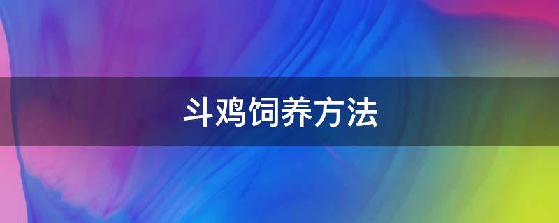 斗鸡饲养方法 斗鸡的饲养方法