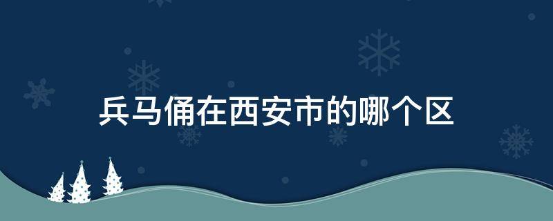 兵马俑在西安市的哪个区（西安兵马俑所在地）