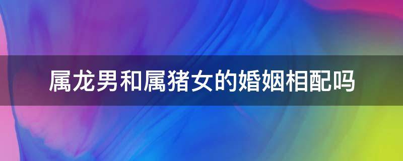 属龙男和属猪女的婚姻相配吗 女属龙和男属猪相配婚姻如何