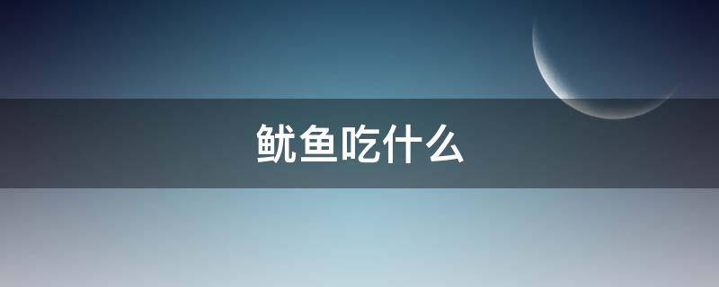 鱿鱼吃什么（鱿鱼吃什么食物长大）