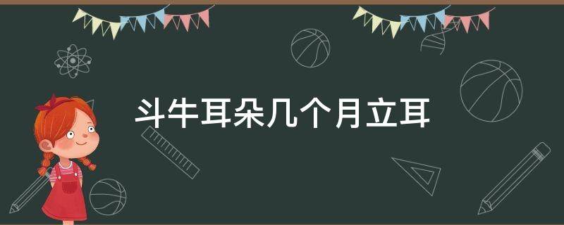 斗牛耳朵几个月立耳 斗牛犬几个月耳朵会立起来