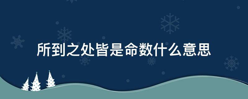 所到之处皆是命数什么意思（爱不逢人所到之处皆是命数什么意思）