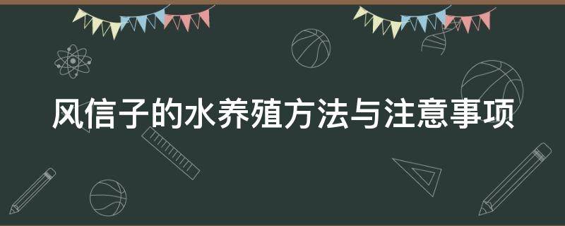 风信子的水养殖方法与注意事项 风信子的水养殖方法与注意事项是什么