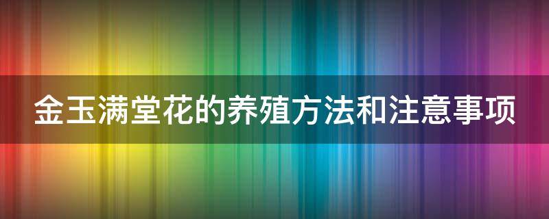 金玉满堂花的养殖方法和注意事项 多肉金玉满堂花的养殖方法和注意事项