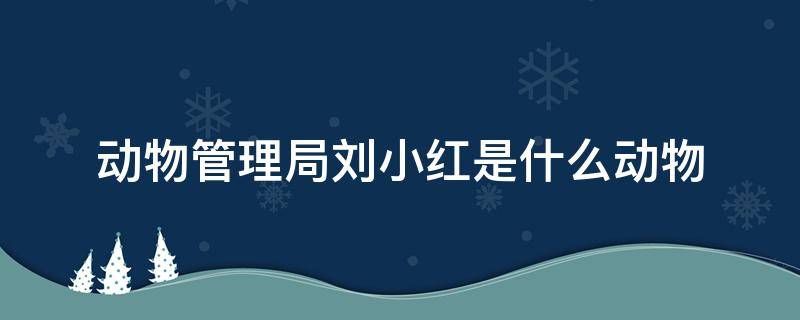 动物管理局刘小红是什么动物（动物管理局 小红）