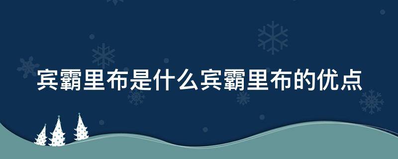 宾霸里布是什么宾霸里布的优点（宾霸里布是什么材质）