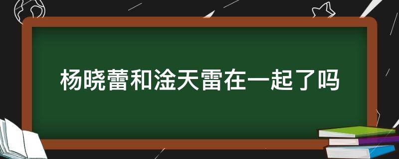 杨晓蕾和淦天雷在一起了吗（淦天雷跟杨晓蕾在一起了吗）