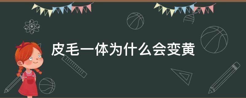 皮毛一体为什么会变黄 皮毛一体毛毛变黄了怎么办